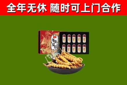 清原县回收冬虫夏草价格