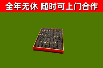 清原县回收海参